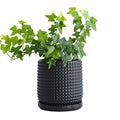 D'vine Dev 6 Inch Ceramic Beaded Stoneware Planter Pot - Flower Pot with Drainage Holes and Saucers for Indoor Succulent Plants or Flowers, Blue, 27-N-B-U-M