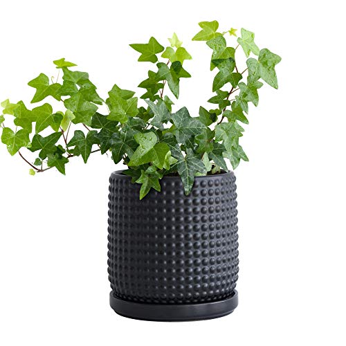 D'vine Dev 6 Inch Ceramic Beaded Stoneware Planter Pot - Flower Pot with Drainage Holes and Saucers for Indoor Succulent Plants or Flowers, Blue, 27-N-B-U-M