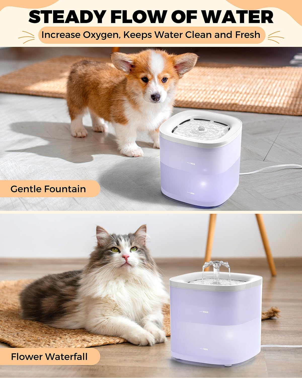Stainless Steel Cat Water Fountain & Food Bowl Set with No Spill Mat C873650