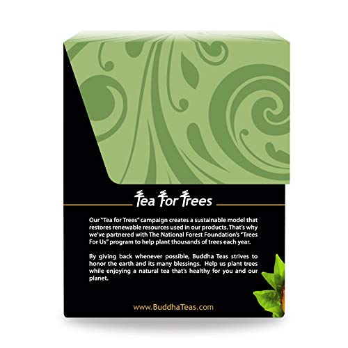 Buddha Teas Organic Yerba Mate Tea, 18 Bleach-Free Tea Bags Y859815