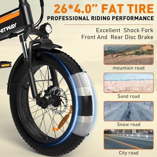 Foldable Electric Bike for Adults 750W 48V 12AH Fat Tire H4741