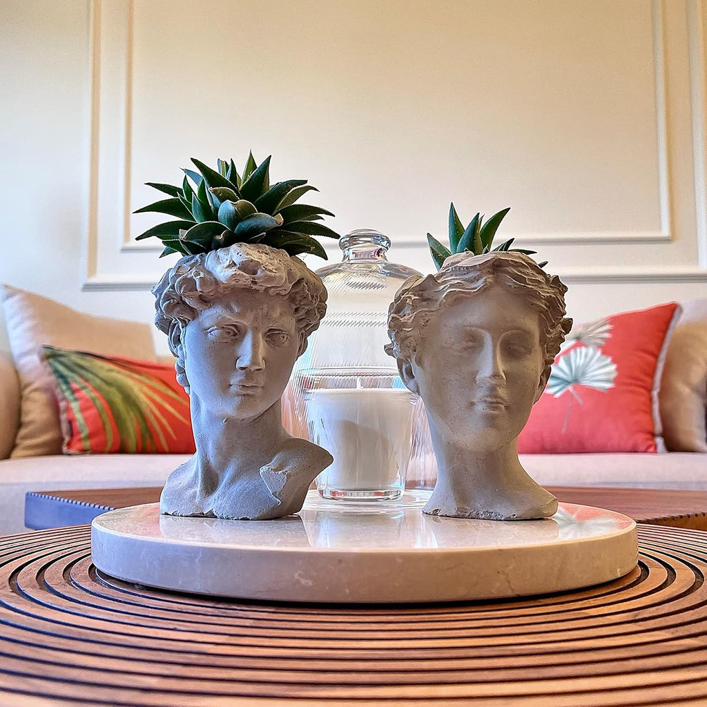Unique Head Planter Succulent Pots Greek Mythology David Face Statue Bust Concrete Indoor Outdoor Garden 5 Inch Set of 2 Gray E4106