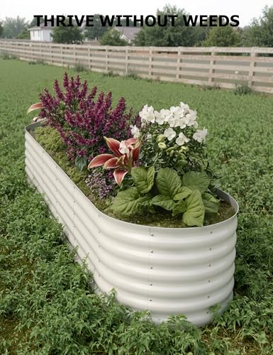 4x2x2Ft Oval Galvanized Steel Raised Garden Bed - Outdoor Metal Planter Box for Vegetables, Flowers, Herbs L43315