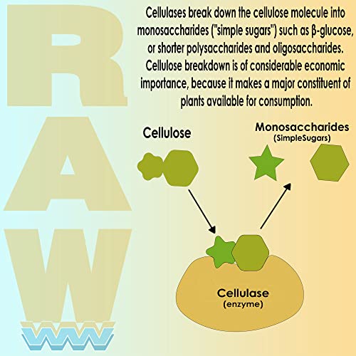 RAW Enzymes 8oz Plant Enzyme Blend for Root Development B403