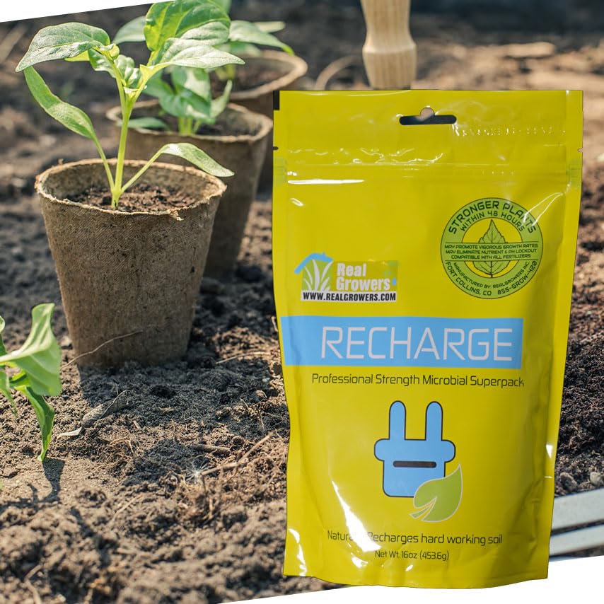 Real Growers Recharge Mycorrhizae Instant Compost Tea Soil Microbes 16oz Q9737
