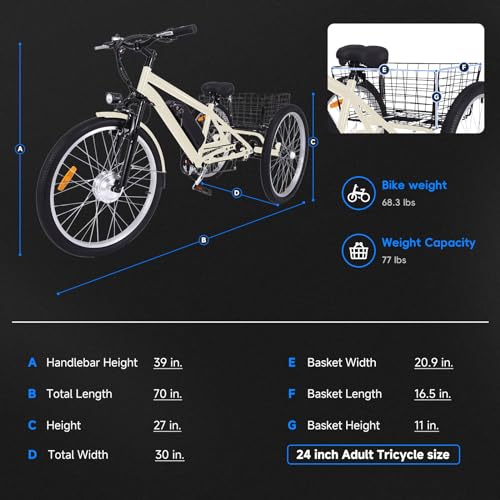 Electric Tricycle for Adults 24" & 26" 3-Wheel with Basket, 350W Motor, 36V Battery F231017