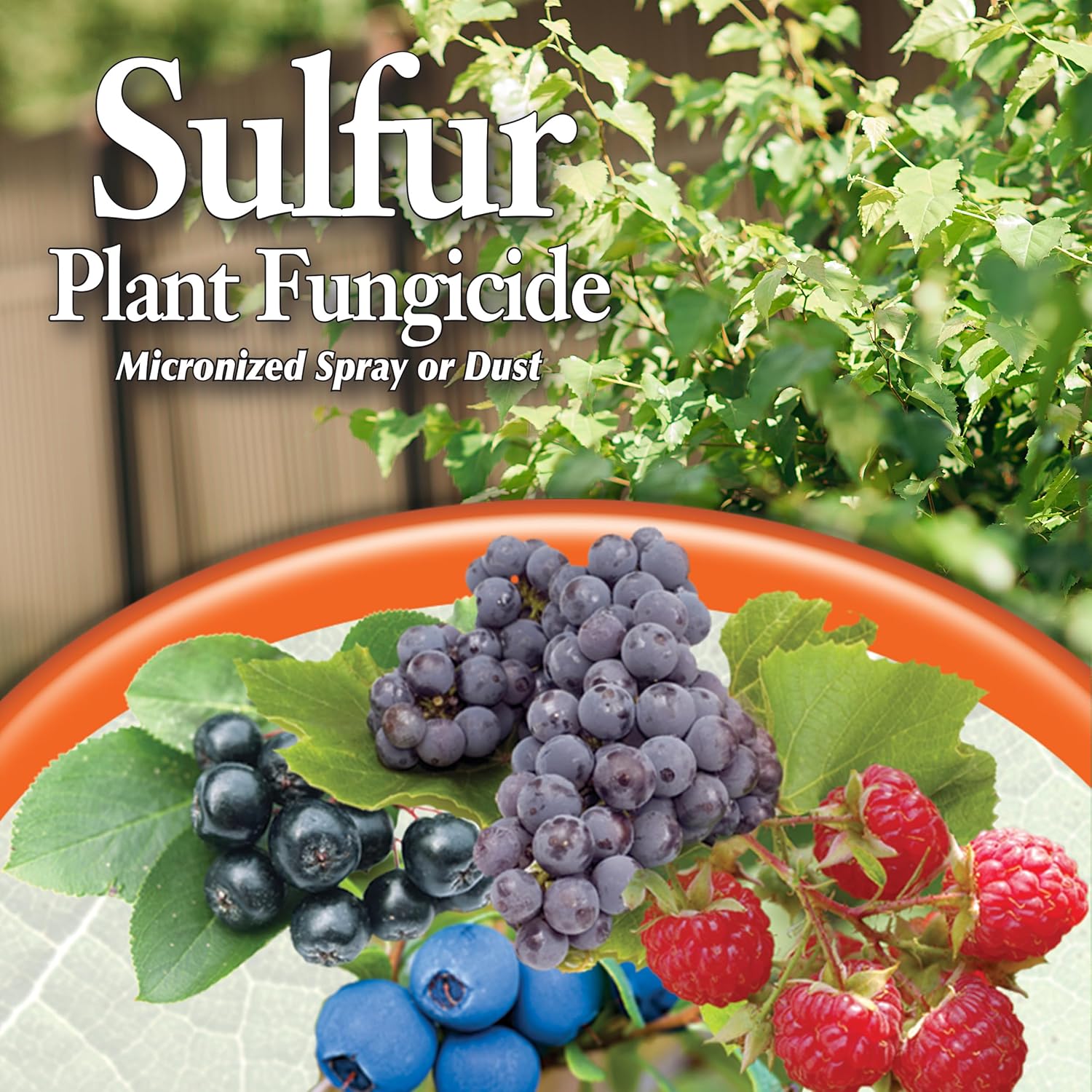 Bonide Sulfur Plant Fungicide 4 lb Ready-to-Use Micronized Spray or Dust for Organic Gardening I290368