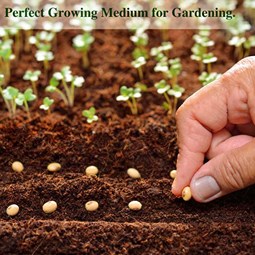 ZeeDix Coco Coir Brick 10 Pack, 24 Gallons Potting Soil for Plants N850540