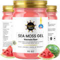 Watermelon Sea Moss Gel Wildcrafted Irish Seamoss Gel Nutritious Vegan Vitamin Supplement - Rich in Minerals & Protein - Made in USA (Pack of 1-16oz)
