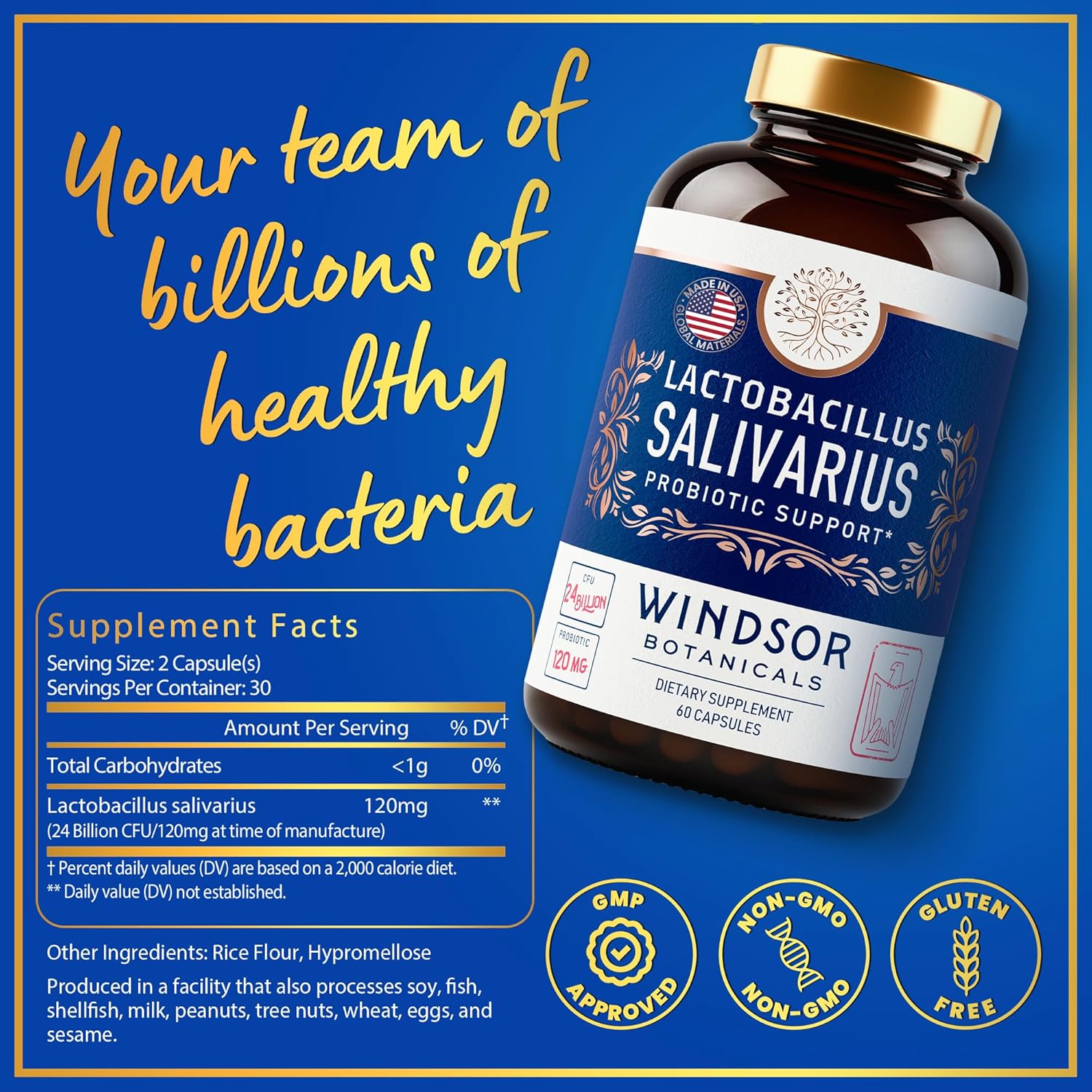 Lactobacillus Salivarius Probiotic Capsules for Oral, Dental, and Immune Support, 24bn CFU, 2-Pack B3141