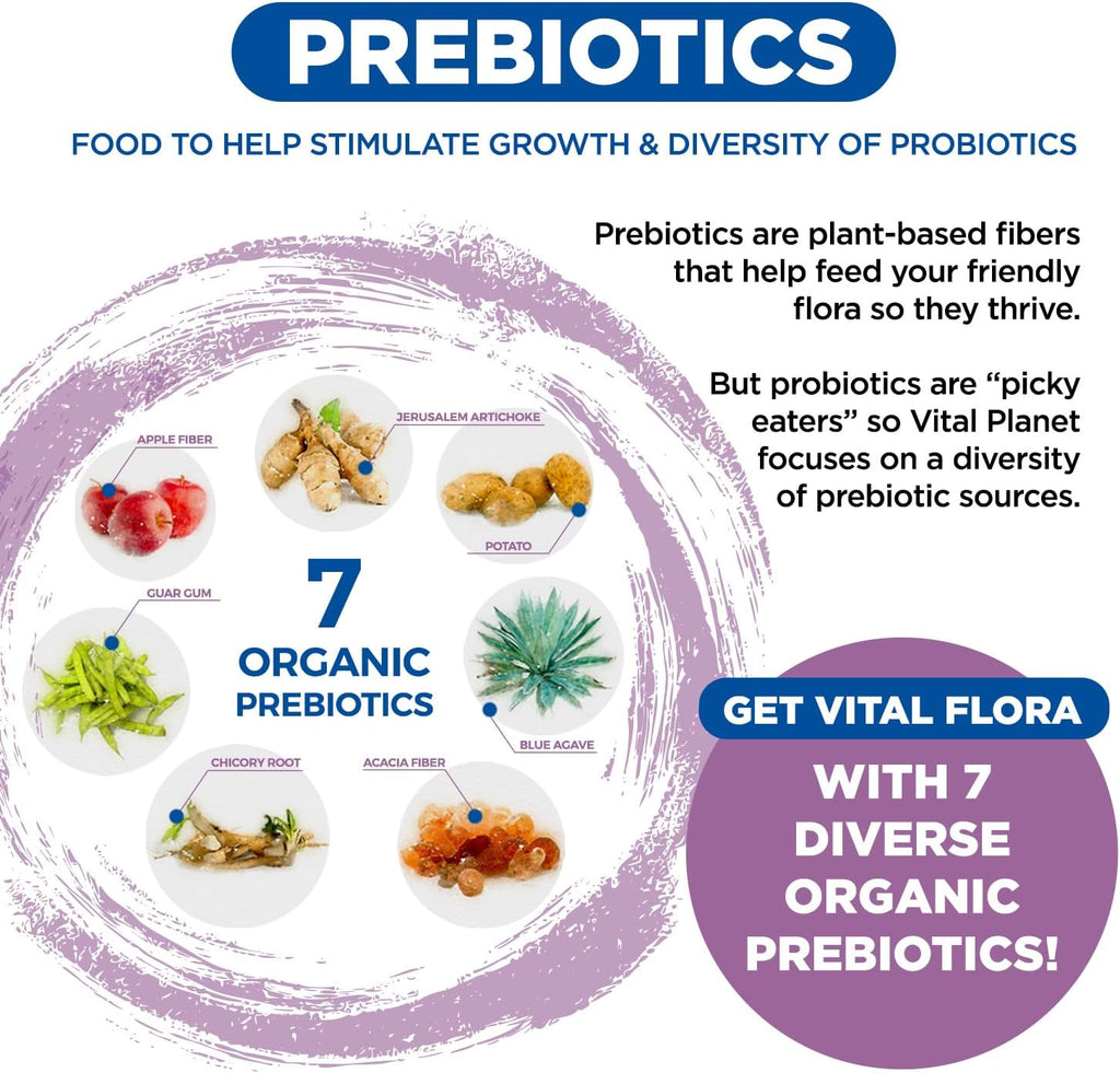 Vital Planet Vital Flora Women’s Daily Probiotic 60 Billion CFU, 30 Capsules V21073