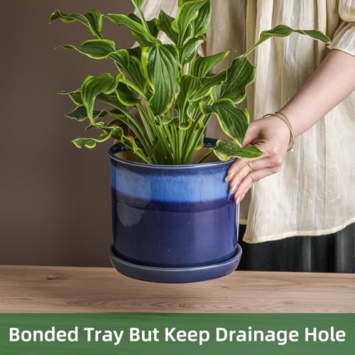 8 Inch Ceramic Plant Pot with Drainage Hole & Saucer for Indoor Outdoor A9888