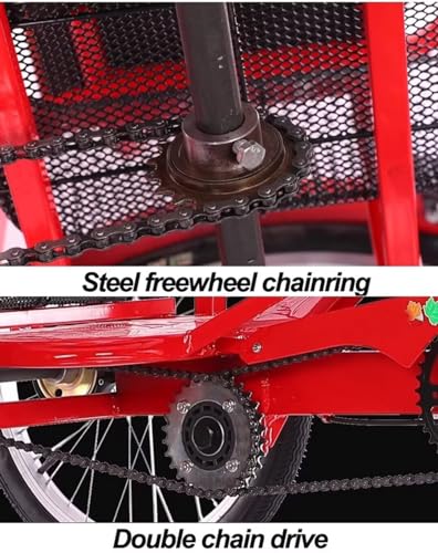 Folding Adult Tricycle with Back Seat, 3-Wheel Cruiser Bike D82805