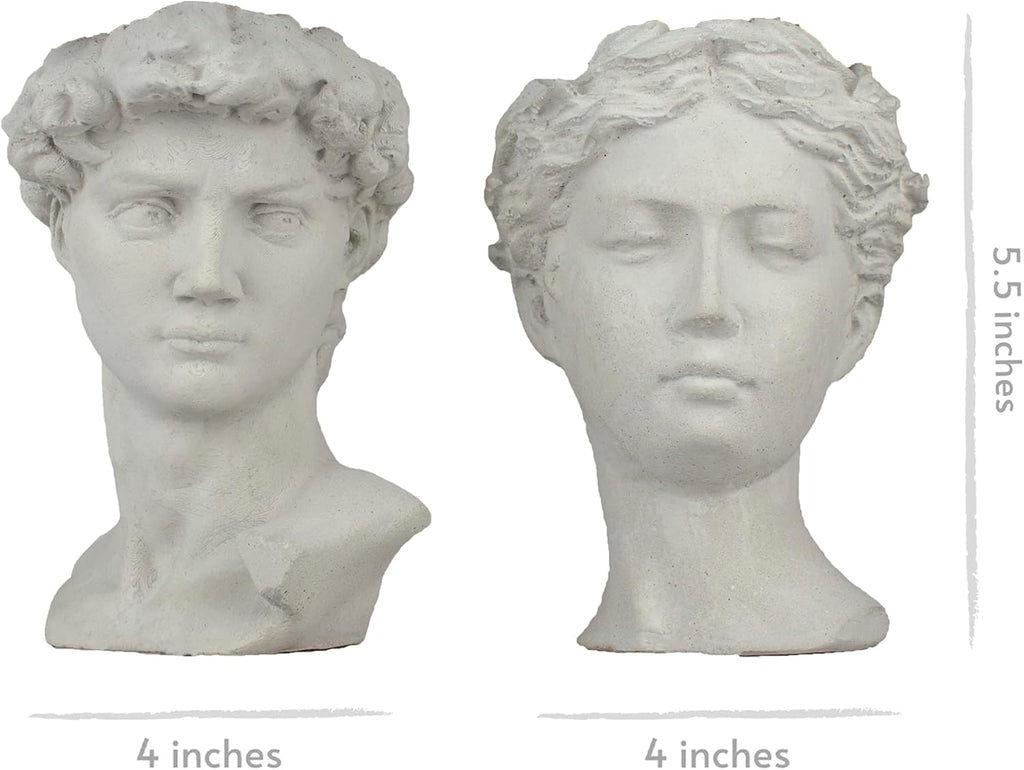 Unique Head Planter Succulent Pots Greek Mythology David Face Statue Bust Concrete Indoor Outdoor Garden 5 Inch Set of 2 Gray E4106