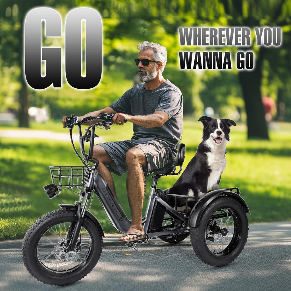 Electric Trike Adults 750W 20" Fat Tire 3 Wheel Electric Bike with Dual Removable Batteries U110