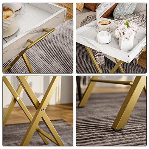 Folding TV Tray Tables with Removable Serving Tray, Set of 2 S62929