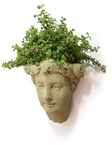 Garden Goddess Bust Wall-Mounted Head Planter, 12-Inch American Made Cast Stone, Classic Natural Color…