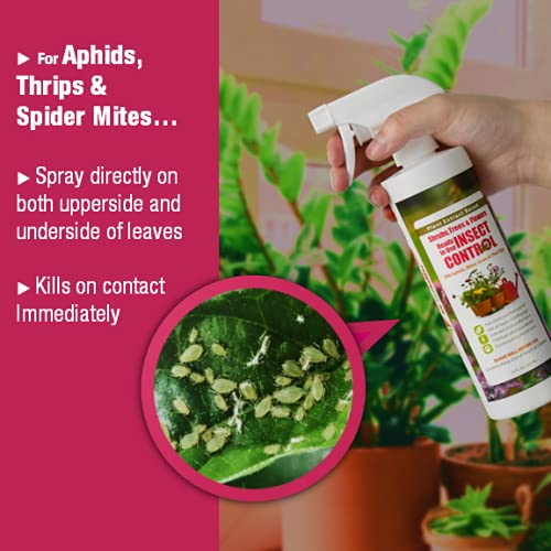EcoVenger Garden Insect Control 16OZ, Plant Extract Based, Indoor & Outdoor V858