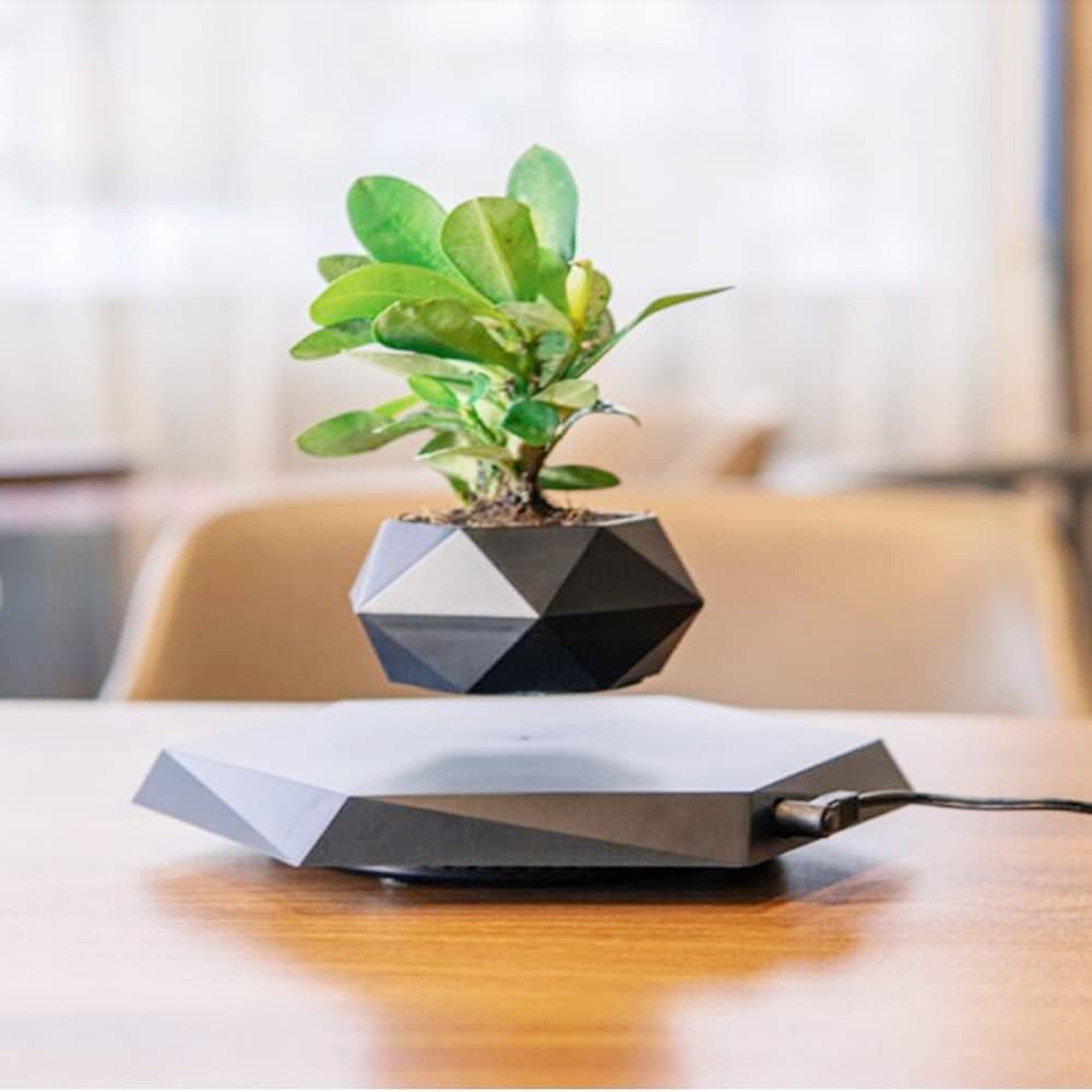 Amazing Floating Magnetic Levitating Flower Pot