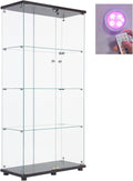 Lighted Two Door Glass Cabinet Glass Display Cabinet with 4 Shelves, Black