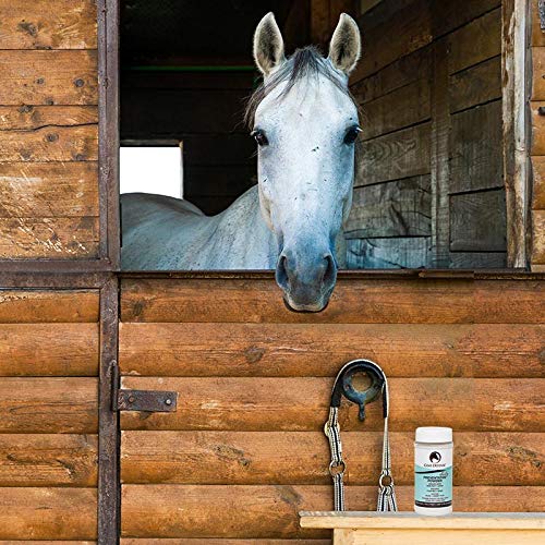 Coat Defense Daily Preventative Powder for Horses, 8 oz, All Natural Ingredients C25298