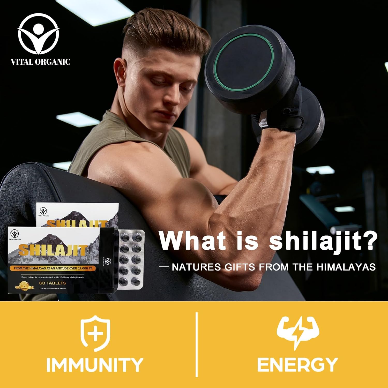 Shilajit Tablets 1000mg, Pure Himalayan Organic Supplement with Fulvic Acid & Trace Minerals G27547