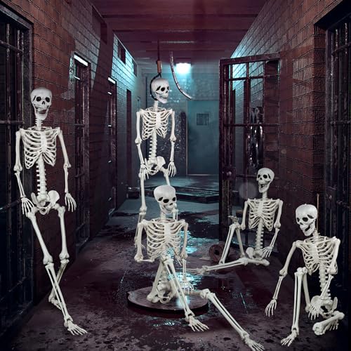 Halloween Life Size Skeleton with Movable Joints for Party Decoration X354