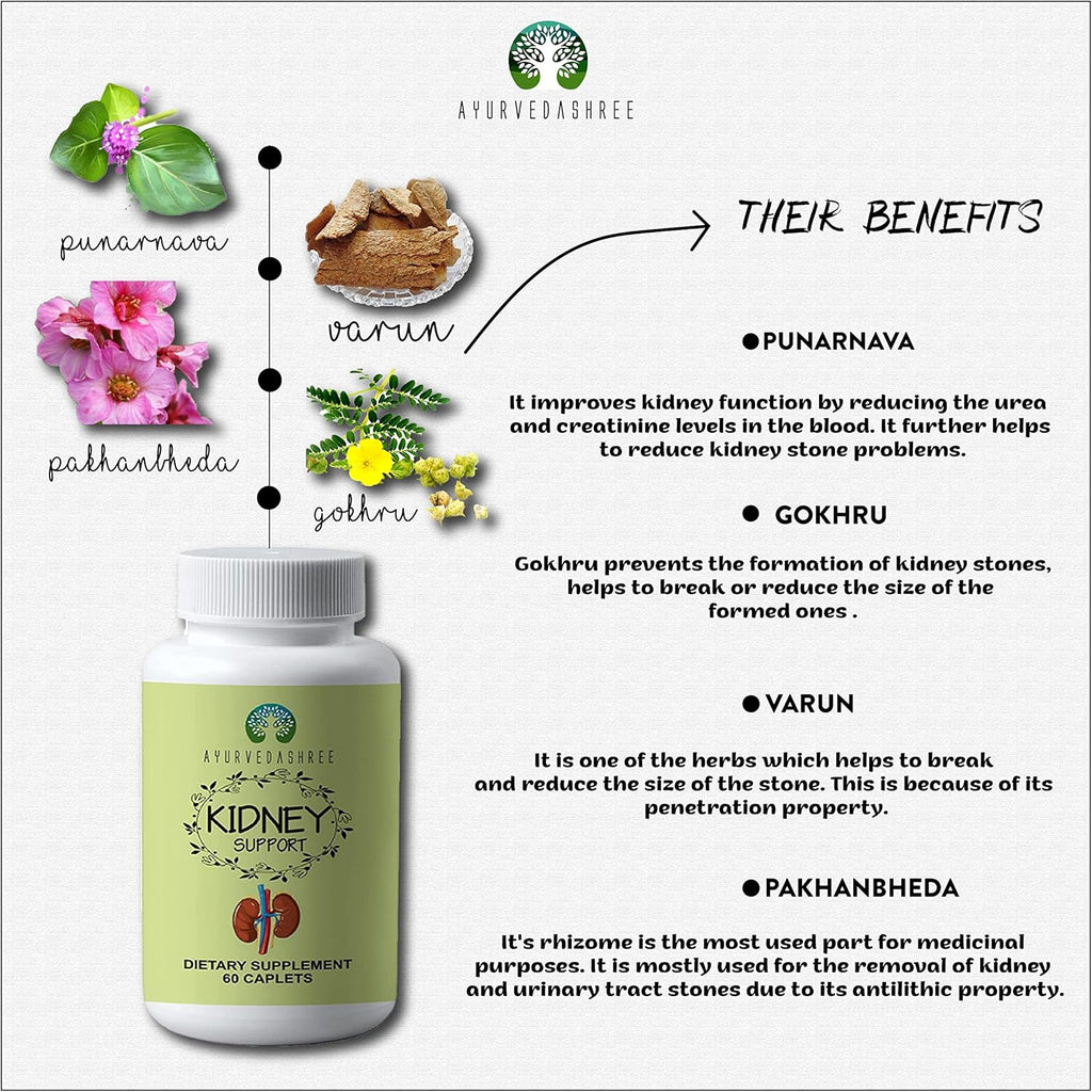 Kidney Support Herbal Supplement Vegan Gluten-Free 1000 MG Caplets X875