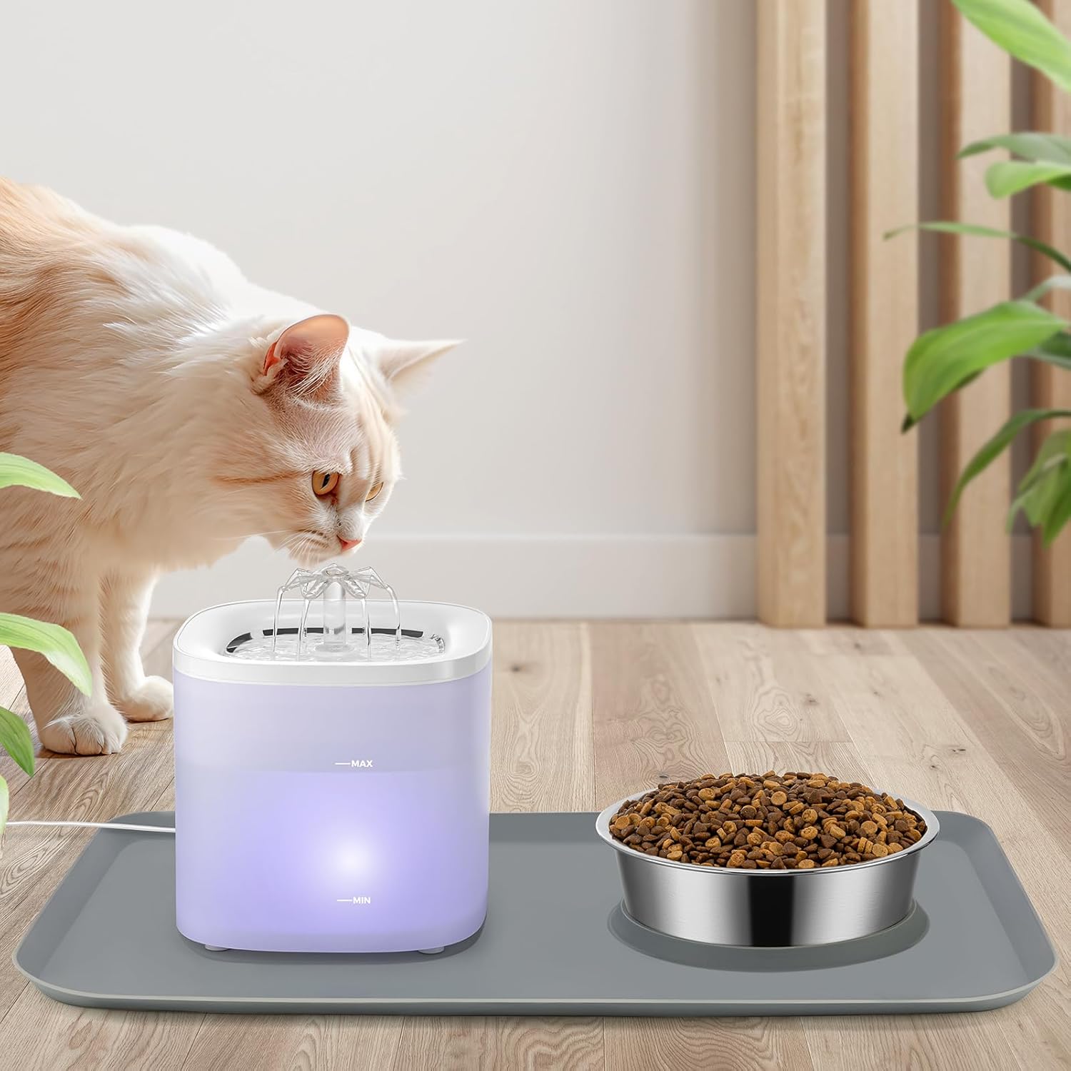 Cat Water Fountain and Food Bowl Set, Includes 63oz/1.8L Pet Water Dispenser Automatic Water Bowl, Stainless Steel Cat Food Dish and No Spill Feeding Mat for Cats, Small Dogs (Ultra Quiet)