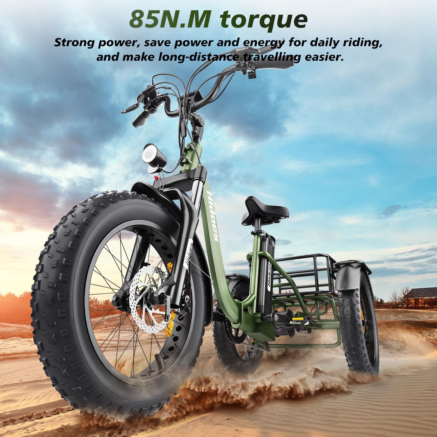 Hidoes Electric Tricycle for Adults, 1000W Peak, 48V 20Ah Removable Battery, 7 Speed Folding G3909
