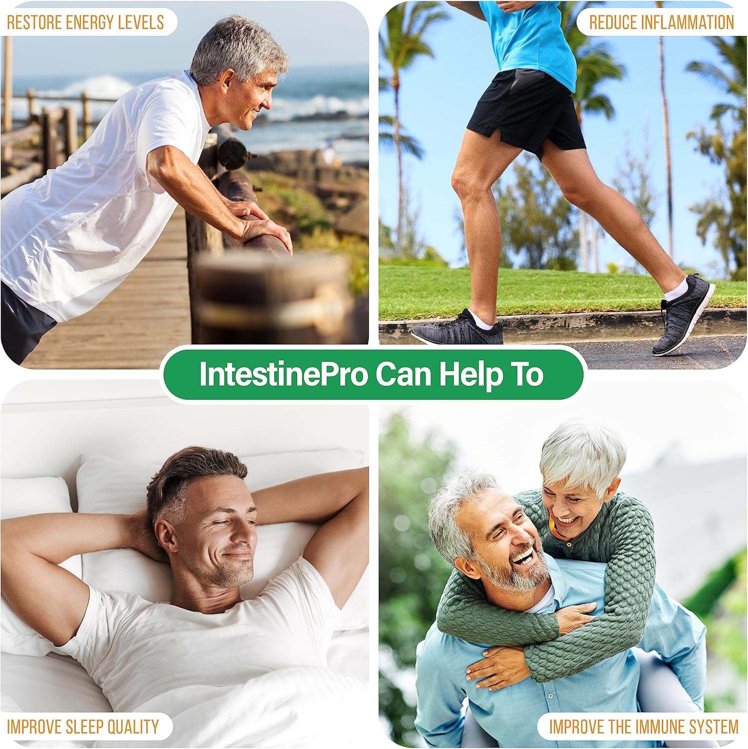 IntestinePro Intestine Support for Humans, 60 Vegetarian Capsules N7645