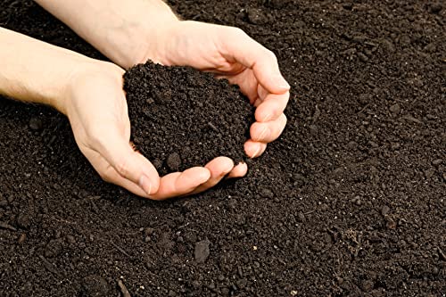 Fort Vee Organic Potting Soil Mix for Indoor & Outdoor Plants, 20 Quarts K958199