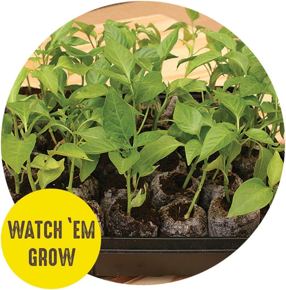 Jiffy 50mm Seed Starting Greenhouse Kit with 16 Peat Pellets & Plant Labels D311
