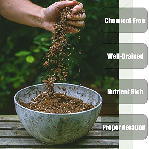 Organic Potting Soil Mix for Indoor & Outdoor Containers, 1 qt Z64719