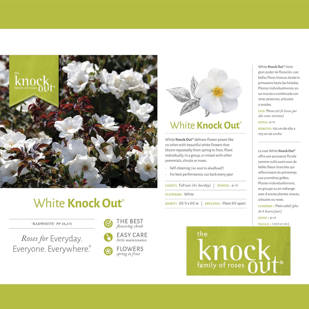 Knockout White Rose and Double Knockout Cherry Red Plant Bundle, 1 Gallon Q79677
