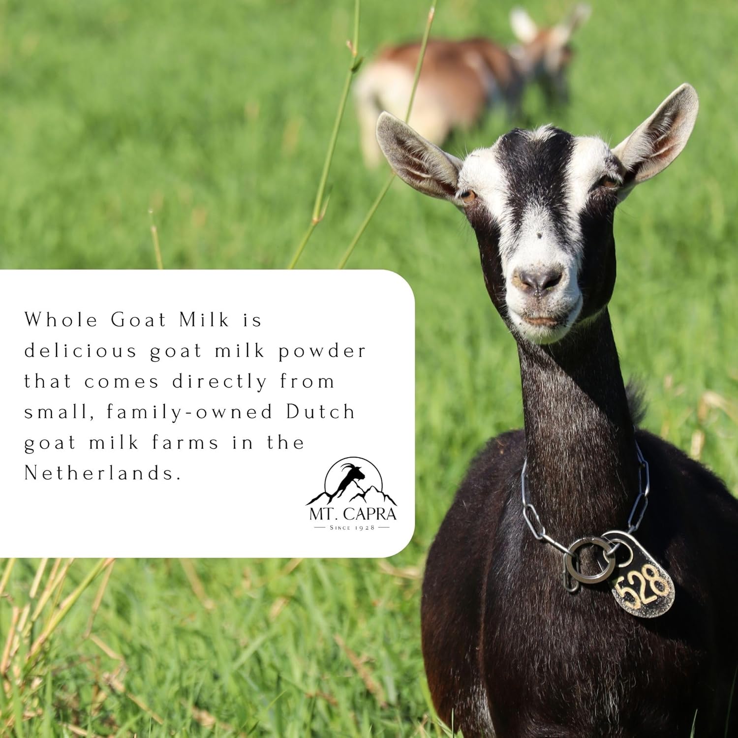 Mt. Capra Whole Goat Milk Powder, Non-GMO Grass-Fed, Creamy, 1 lb Y970