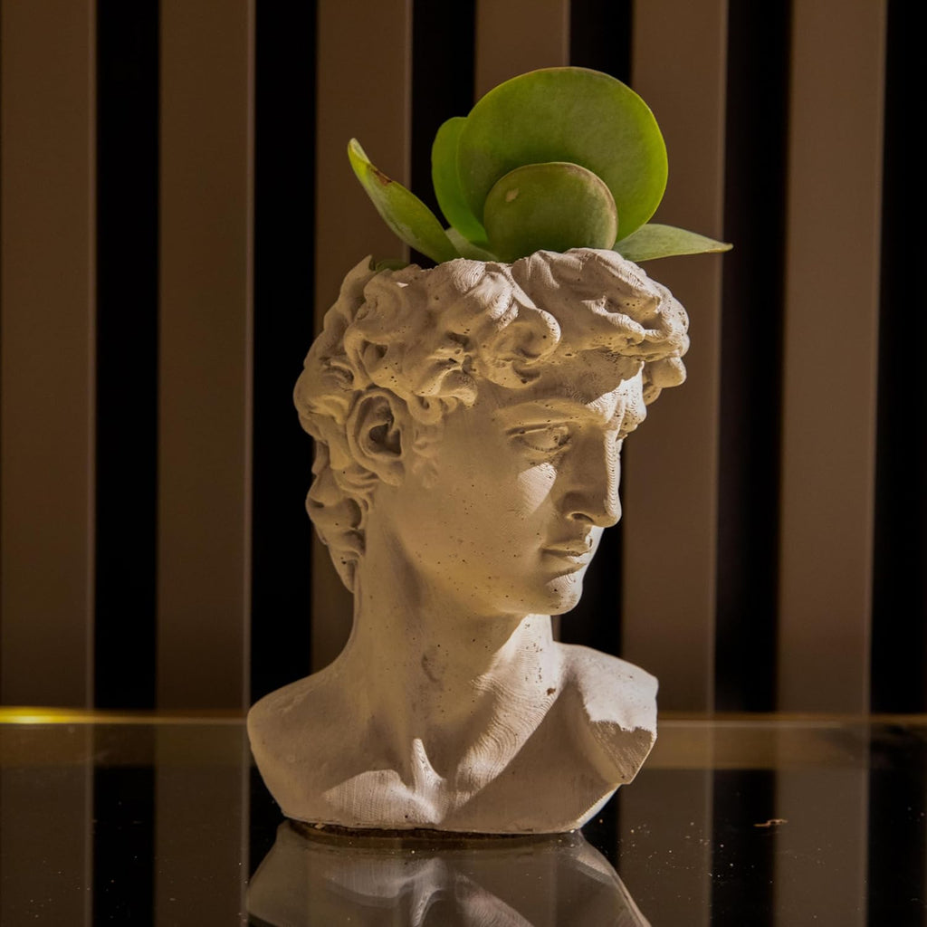 Unique Head Planter Succulent Pots Greek Mythology David Face Statue Bust Concrete Indoor Outdoor Garden 5 Inch Set of 2 Gray E4106