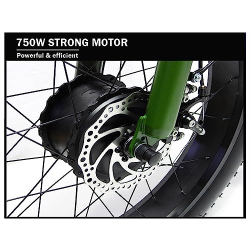 Electric Trike for Adults, 750W 48V 15Ah Removable Battery, 24-20" Fat Tire 3-Wheel Bicycle G78961