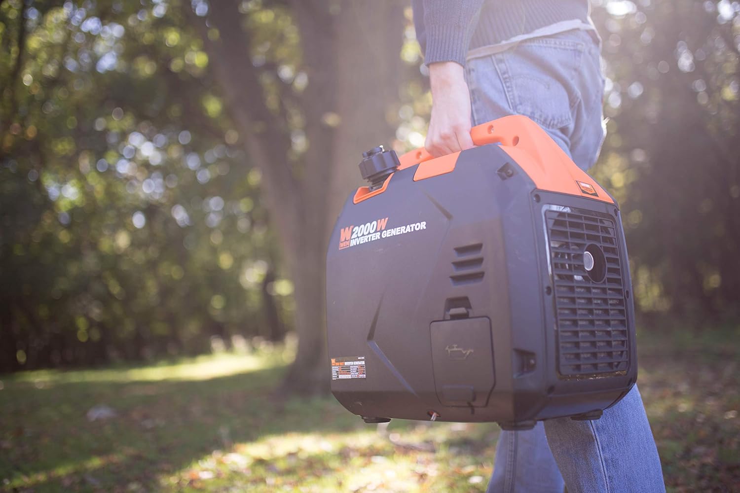 WEN 56203i 2000-Watt Portable Inverter Generator, CARB Compliant N338387