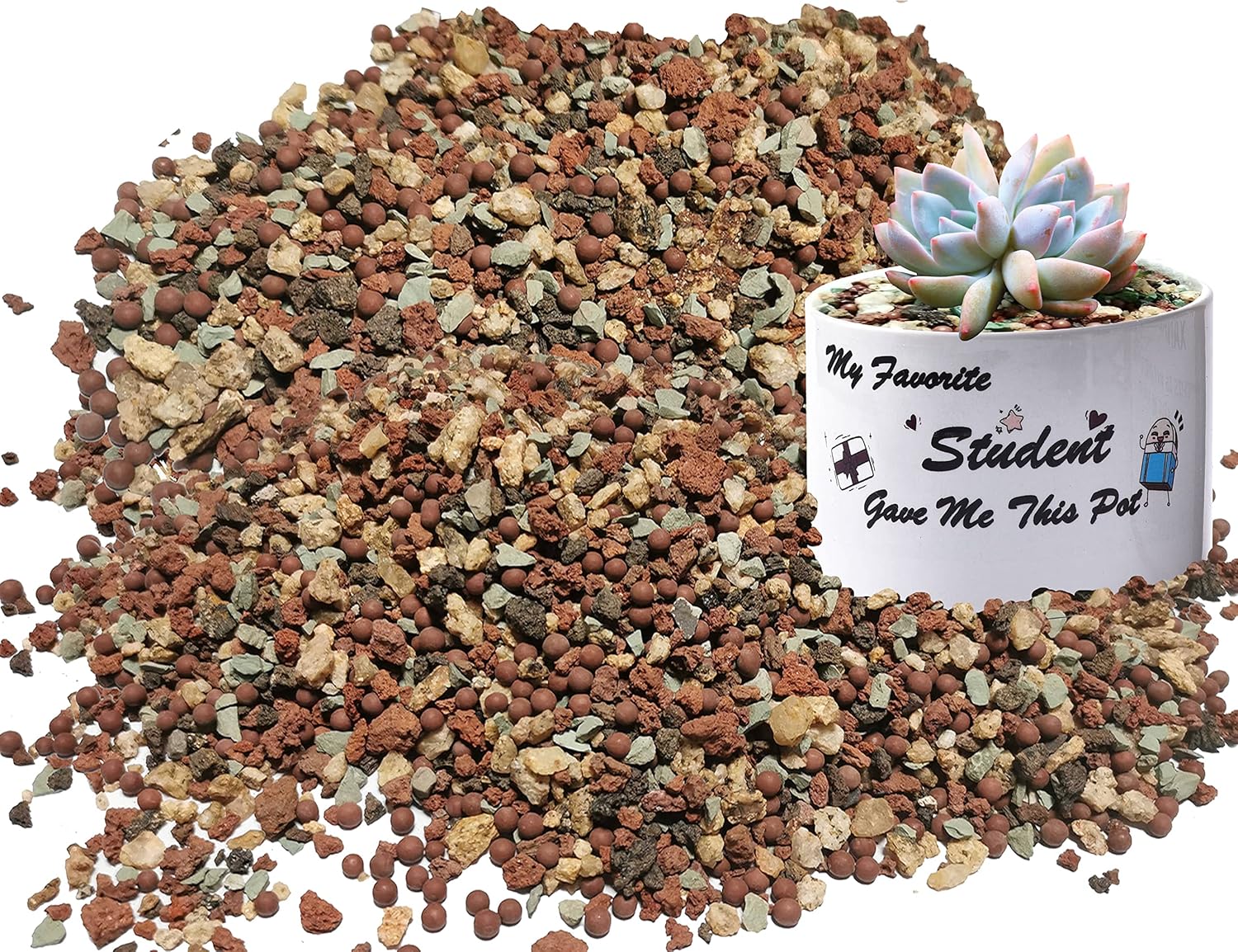 Bonsai Succulent Soil Potting Mix for Cactus Azalea Orchid 2.2LB X964718