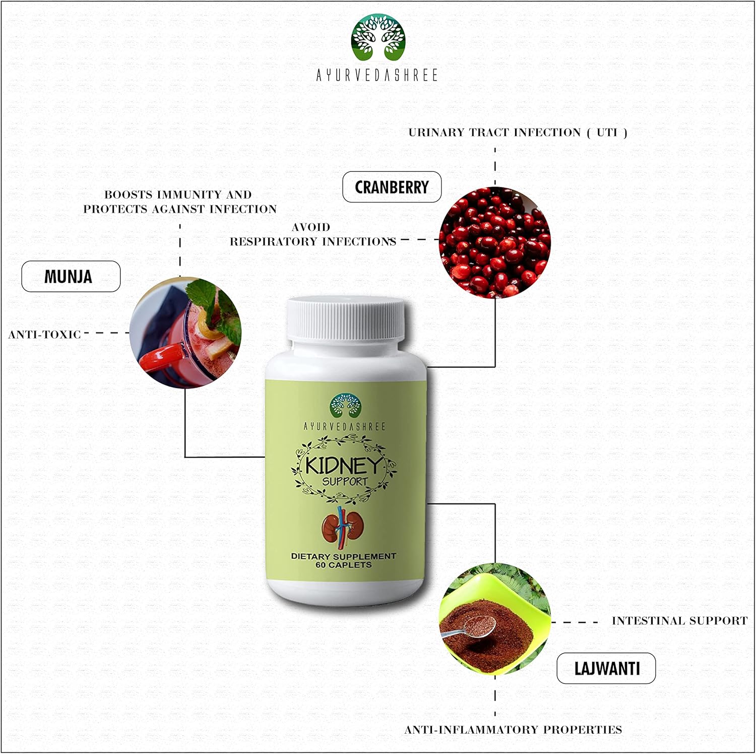 Kidney Support Herbal Supplement Vegan Gluten-Free 1000 MG Caplets X875