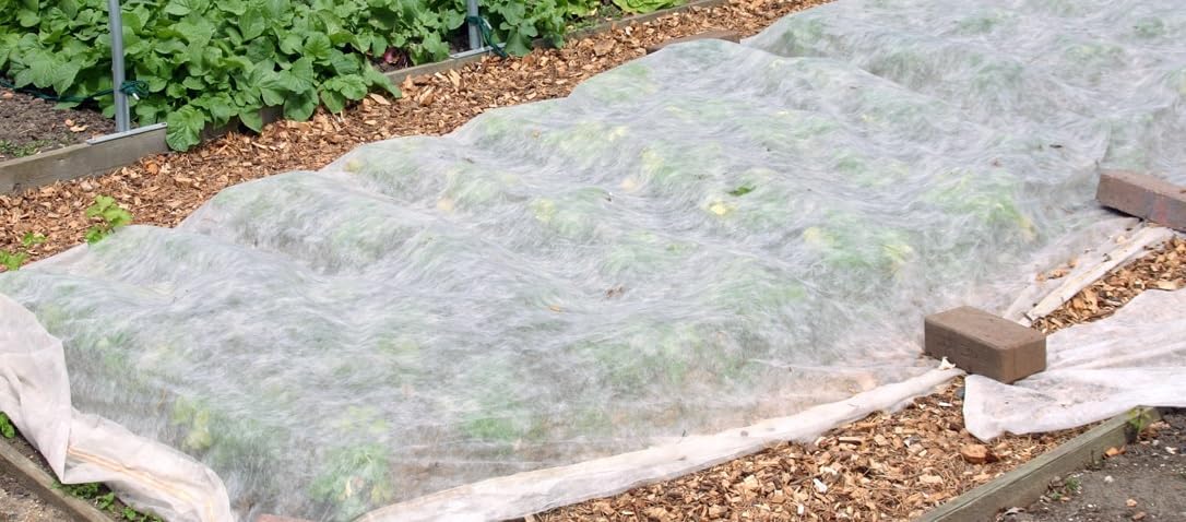 Agribon AG-19 Floating Row Crop Cover Garden Fabric C424511