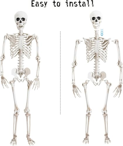 5.4 ft Posable Halloween Skeleton Decoration with Movable Joints L910930