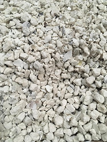 Natural Crushed Oyster Shell with Calcium 2 lb E753133