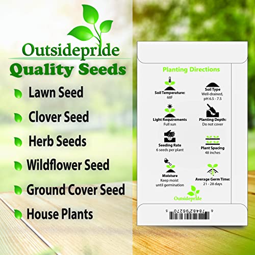 Outsidepride 1000 Seeds Perennial Clematis Climbing Vine K152