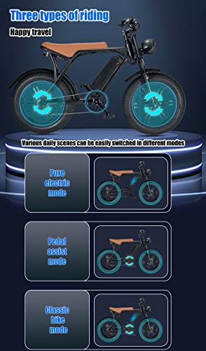 Electric Bike for Adults 20" Fat Tire 750W Removable Battery B243448