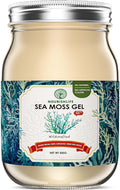 18 oz Natural sea Moss Gel, Rich in 92 Minerals, Proteins, and Vitamins, Immune & Digestive Support, Powerful Antioxidant Supplement, Original sea Moss Gel, 1 Bottle