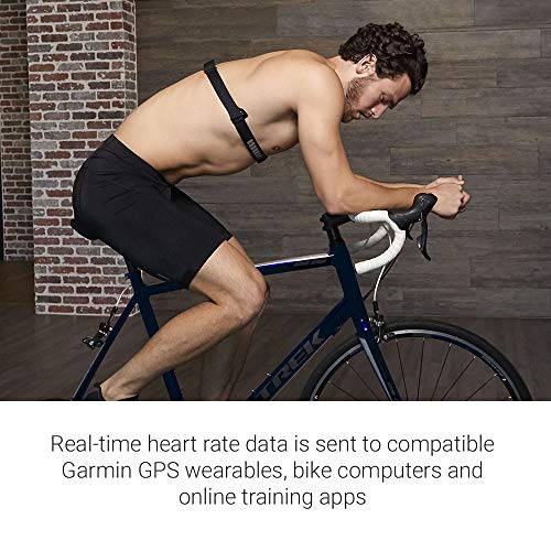 Concept2 RowErg Indoor Rowing Machine with PM5 Monitor U13293