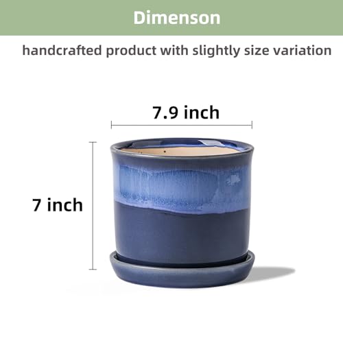 8 Inch Ceramic Plant Pot with Drainage Hole & Saucer for Indoor Outdoor A9888