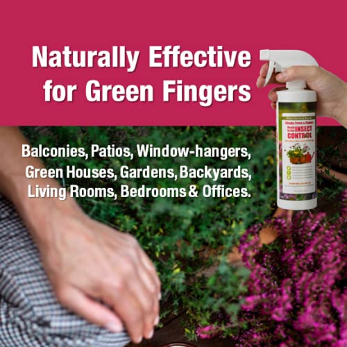 EcoVenger Garden Insect Control 16OZ, Plant Extract Based, Indoor & Outdoor V858